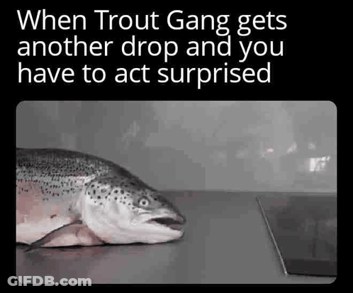 Troutgangosrs Winterosrs Trout Gang Wintertrouts Troutbingo Troutgang GIF