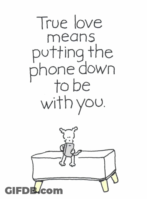 True Love Putting Phone Down Chippy The Dog GIF
