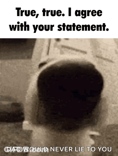 True True I Agree With Your Statement GIF