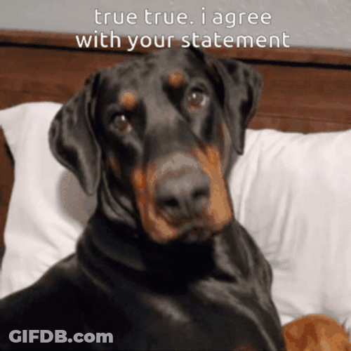 True GIF
