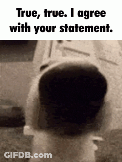 True GIF