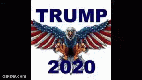 Trump 2020 Eagle American Flag Poster GIF