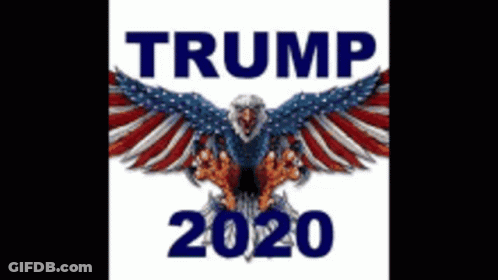 Trump 2020 Logo With Eagle And American Flag GIF