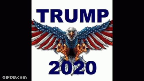Trump 2020 Poster With Bald Eagle GIF