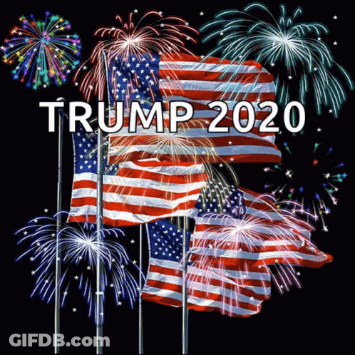 Trump 2020 Poster With Fireworks And American Flags GIF