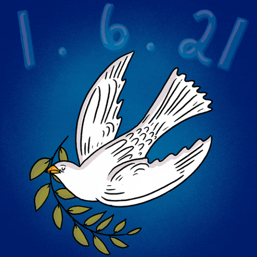 Trump 2024 1 6 21 Dove Flying Never Again GIF