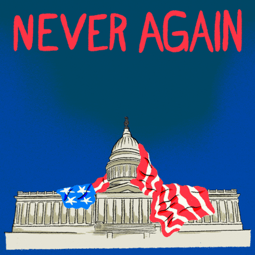Trump 2024 Never Again 1 6 21 GIF