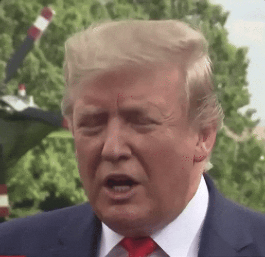 Trump 2024 You Are Untruthful GIF
