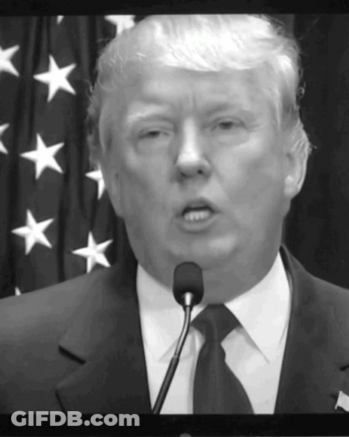 Trump Big Lie GIF