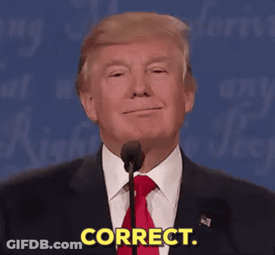Trump Correct Smile GIF