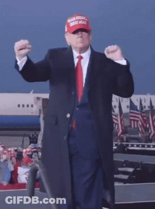 Trump Dance On Airport GIF
