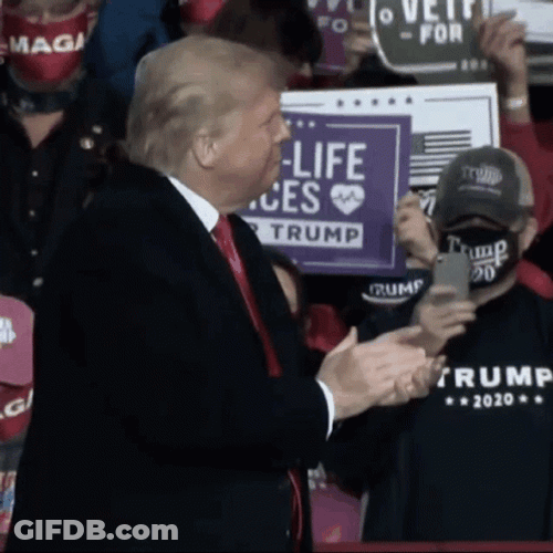Trump Dance On Campaign GIF
