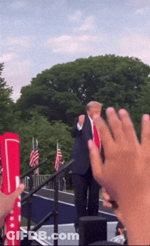 Trump Dance Outdoor GIF