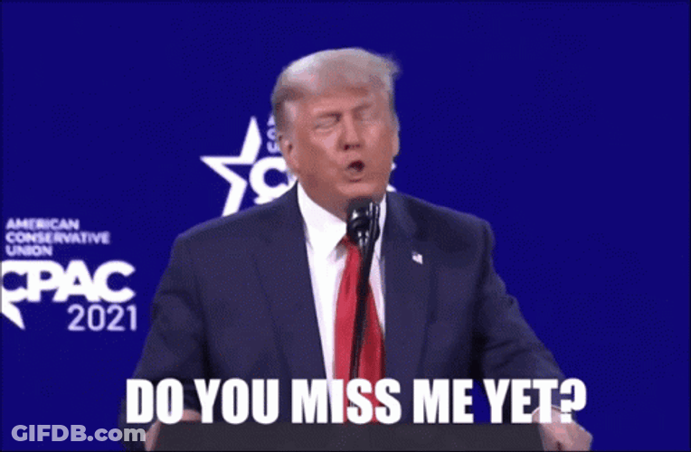 Trump Do You Miss Me Yet GIF