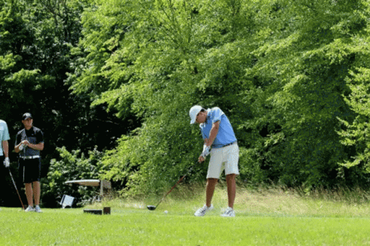 Trump Golf Blue Shirt Man Swing GIF