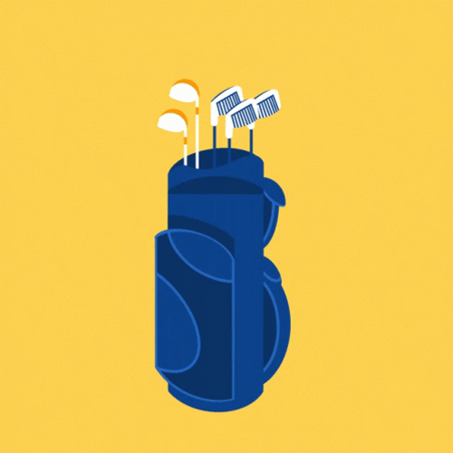 Trump Golf Club In Bag GIF