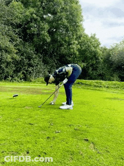Trump Golf Outdoors GIF