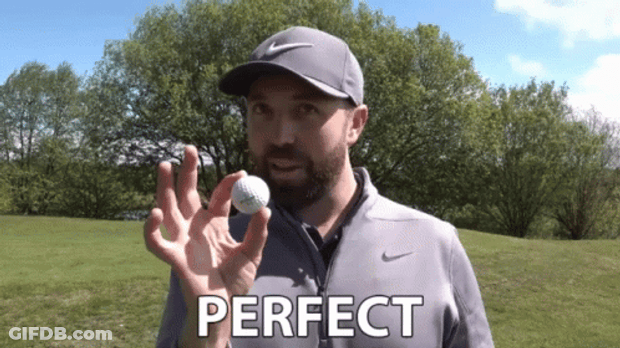 Trump Golf Perfect GIF