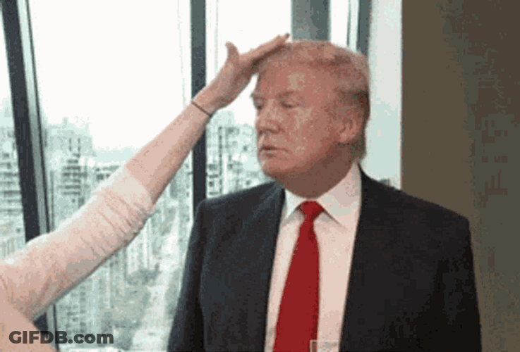 Trump Hair Touch GIF