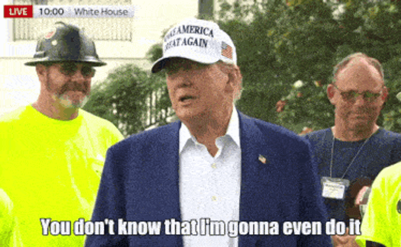 Trump I May Do It GIF