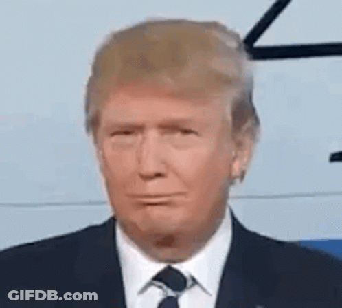 Trump In Suit And Tie Looking At Camera GIF