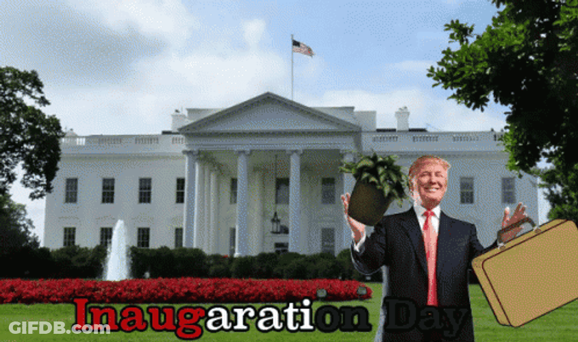 Trump Inauguration Day GIF