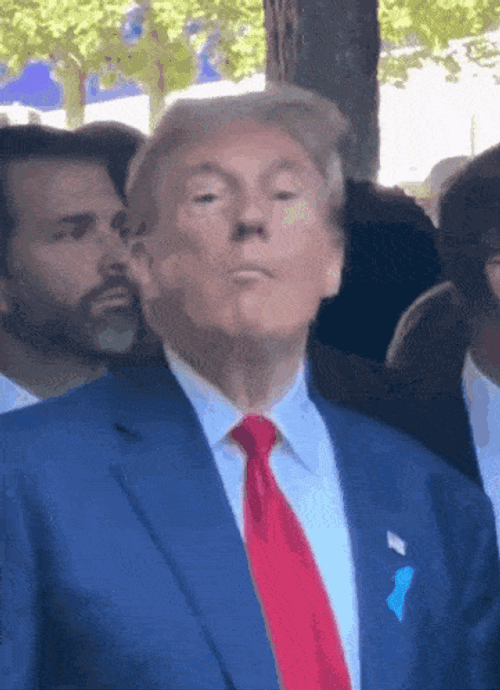 Trump Maga GIF