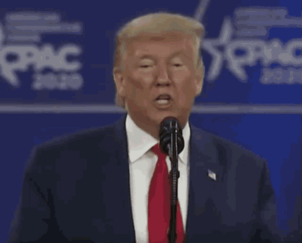 Trump Mini GIF