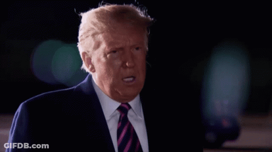 Trump Pause Meditating GIF