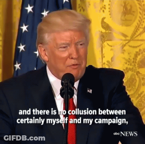 Trump Russia GIF