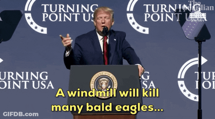 Trump Speech Concerning Bald Eagle GIF