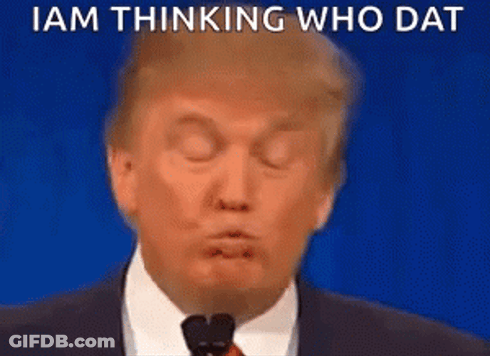 Trump Thinking Who Dat GIF