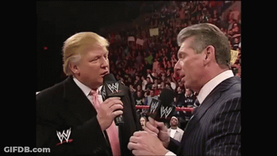 Trump Wwe Interview Vince McMahon GIF
