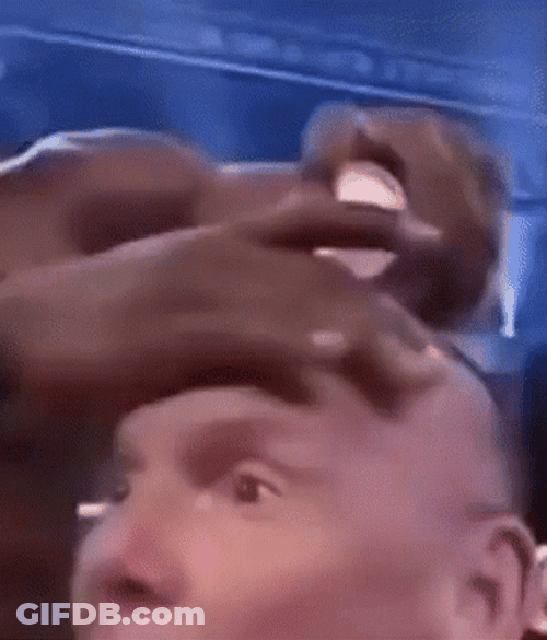 Trump Wwe Make Fun Vince McMahon GIF