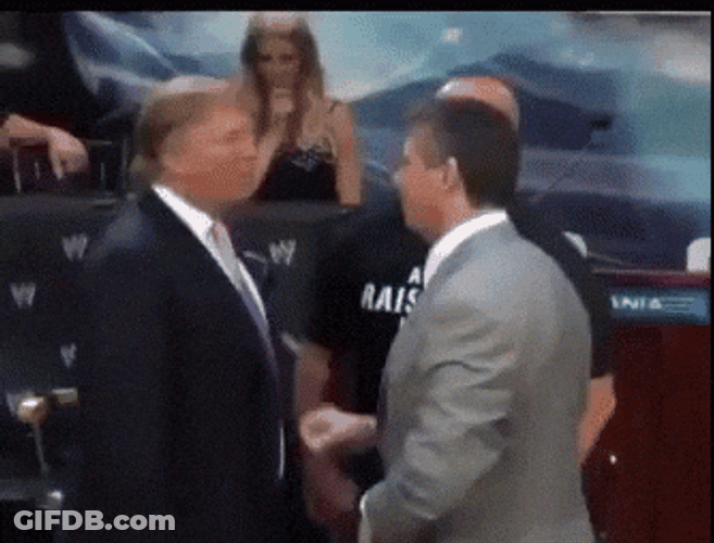 Trump Wwe Slapped Vince McMahon GIF