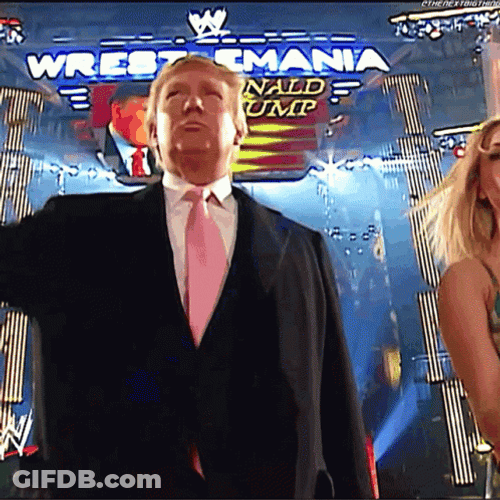 Trump Wwe Wrestlemania GIF
