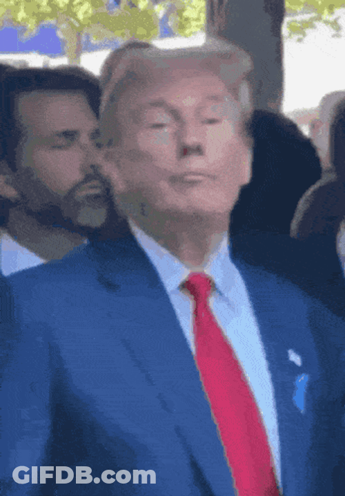 Trumpone GIF