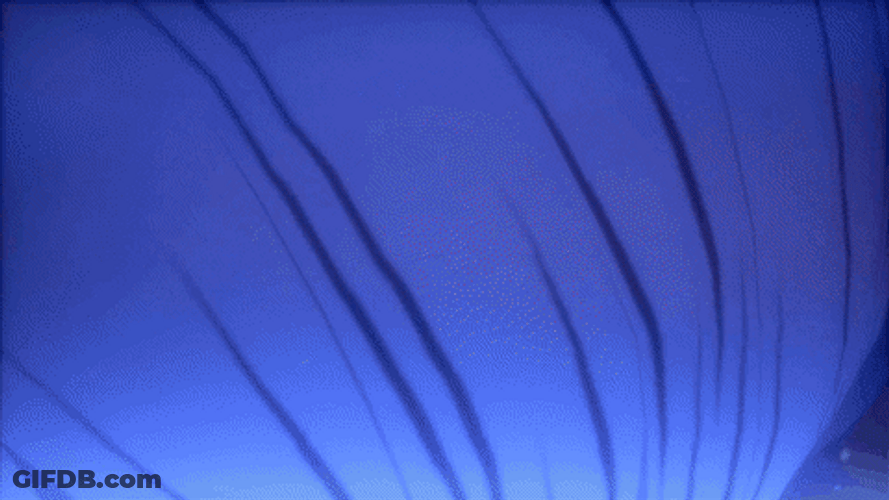 Trunks Dragon Ball Crying Yell In Rain GIF