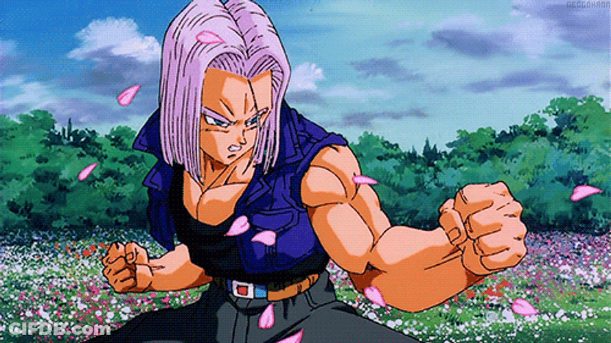 Trunks Dragon Ball Z Fighting Stance GIF