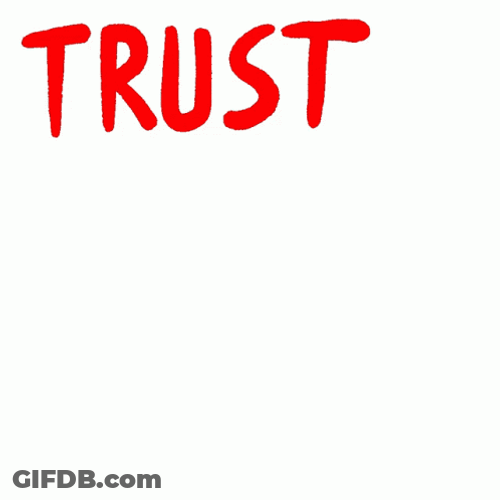Trust The Democratic Process GIF