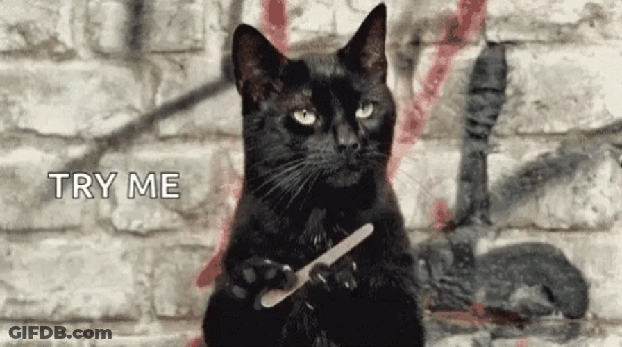 Try Me Black Cat Filing Its Nail GIF