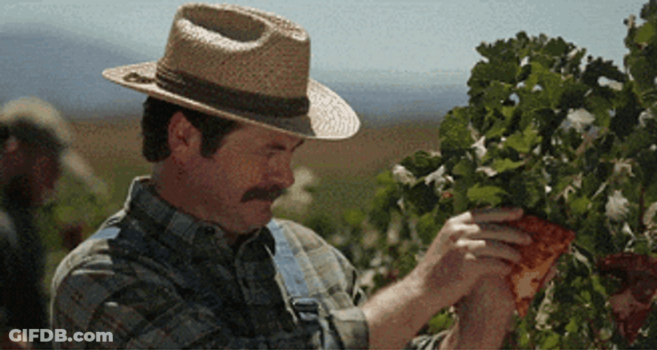 Trying Out Fruit From Farming GIF