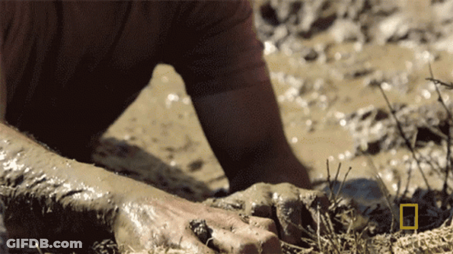 Trying So Hard To Escape Quicksand GIF