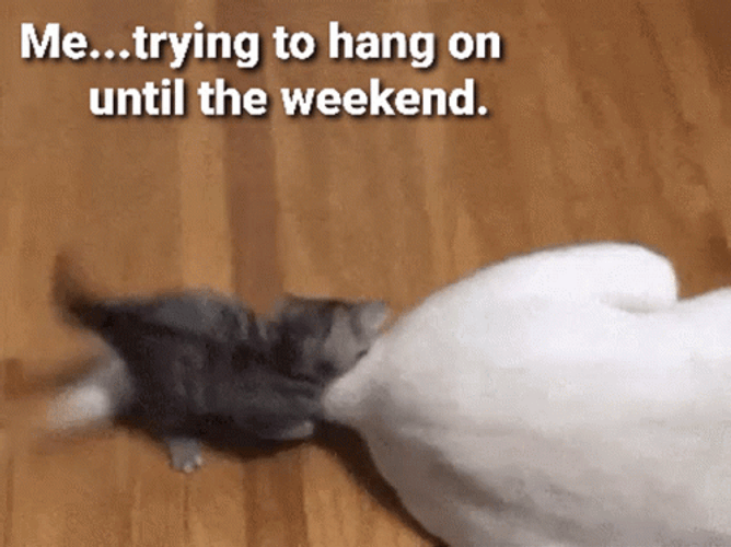 Trying To Hang On Almost The Weekend GIF