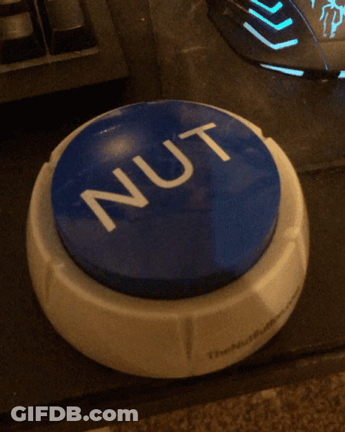 Trying To Press The Nut Button Toy GIF