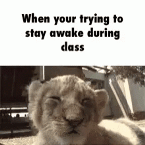 Trying To Stay Awake Lion King Meme GIF
