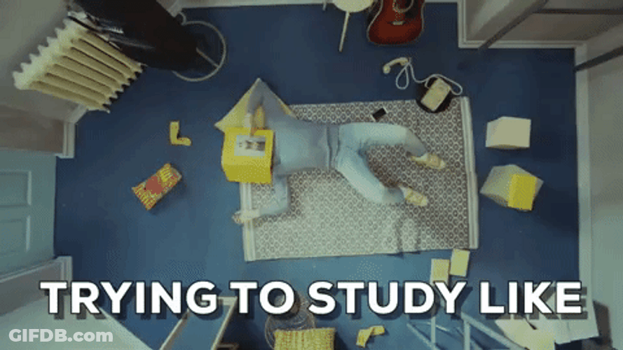 Trying To Study For Bar Exam Be Like GIF