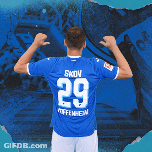 Tsg Hoffenheim Bundesliga GIF