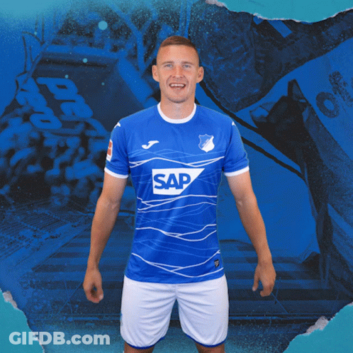 Tsg Hoffenheim Fussball GIF