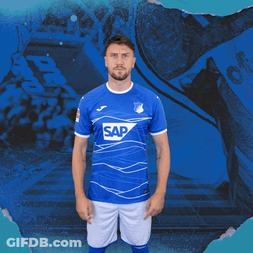 Tsg Hoffenheim Fussball GIF